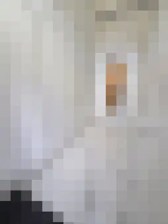 Abdijlaan 119 E Uden thumbnail 5