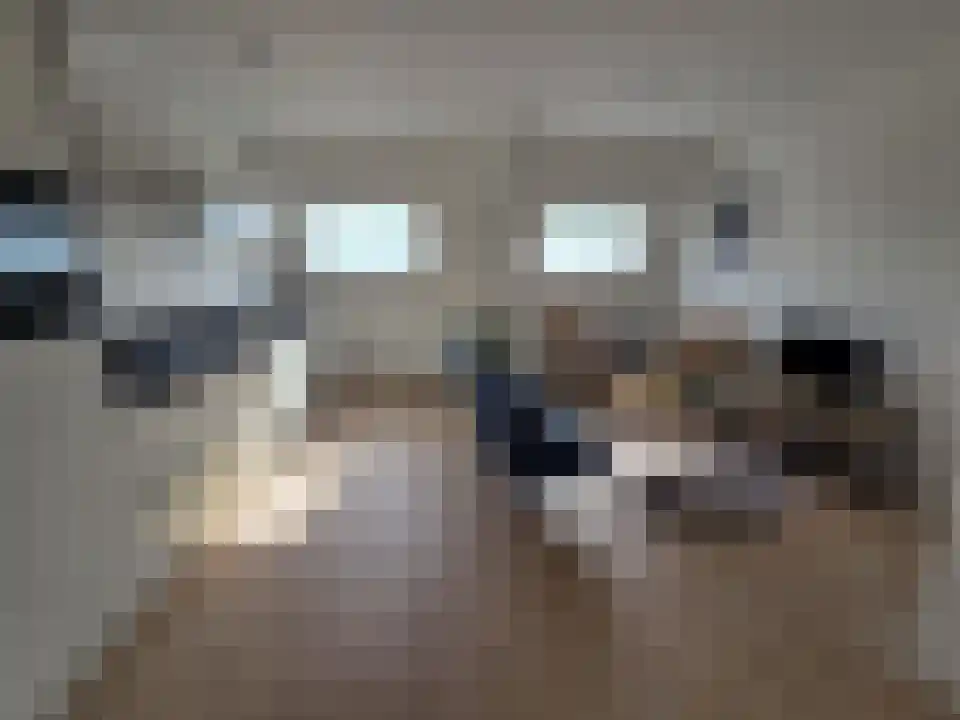 Abdijlaan 119 E Uden thumbnail 7
