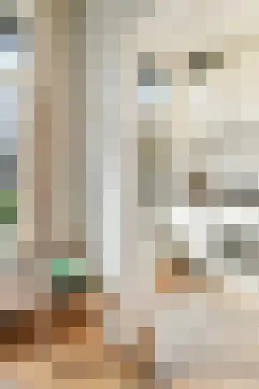Abdijlaan 12 1 Uden thumbnail 5