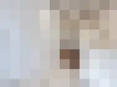 Abdijlaan 12 A Uden thumbnail 47