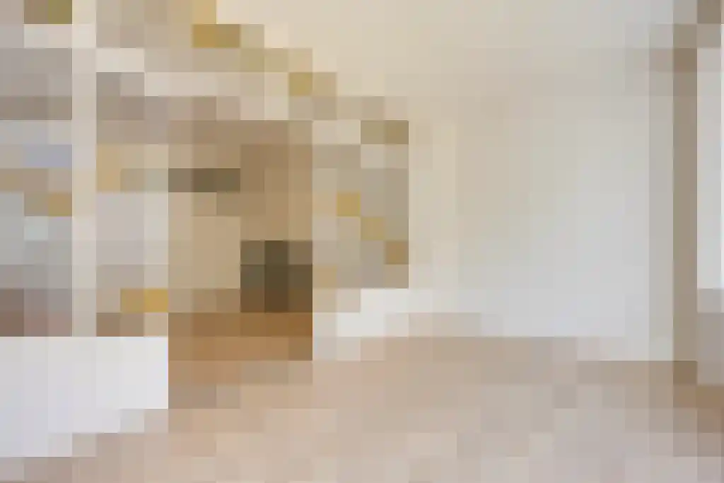 Abdijlaan 12 E Uden thumbnail 6