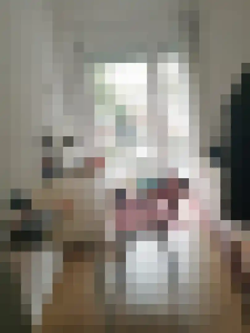 Abdijlaan 12 k3 Uden foto 2