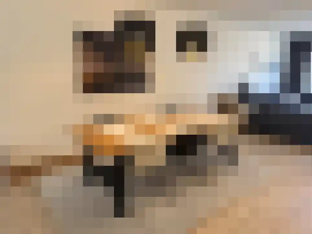 Abdijlaan 12 Uden foto 2