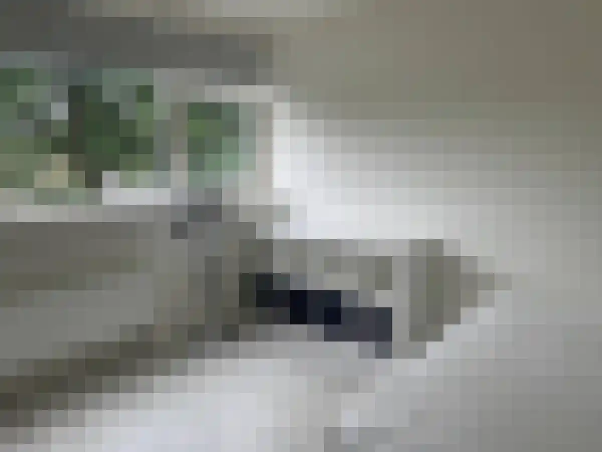 Abdijlaan 12 Uden thumbnail 4