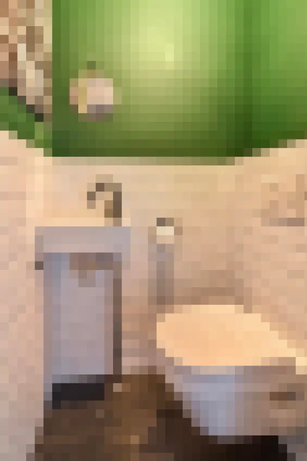 Abdijlaan 12 Uden thumbnail 4