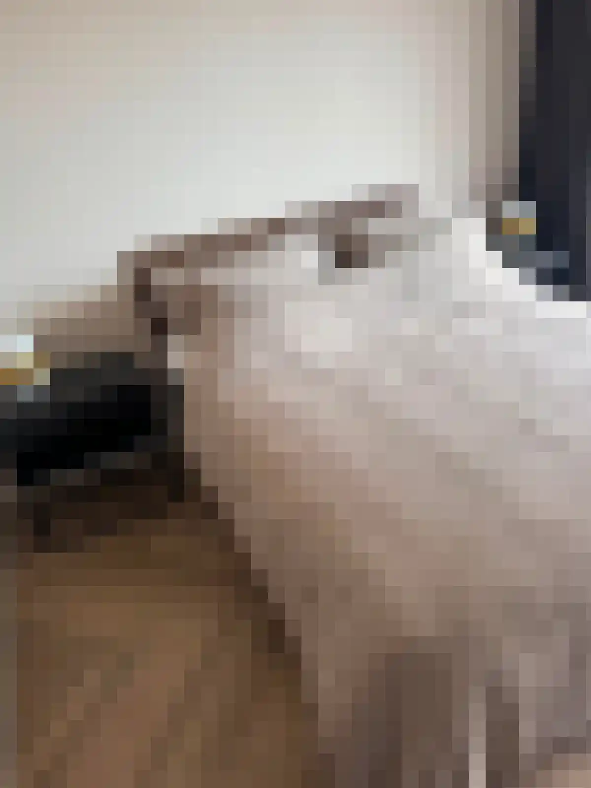 Abdijlaan 12 Uden thumbnail 4