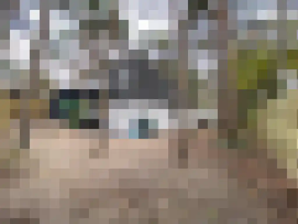 Abdijlaan 12 Uden thumbnail 5