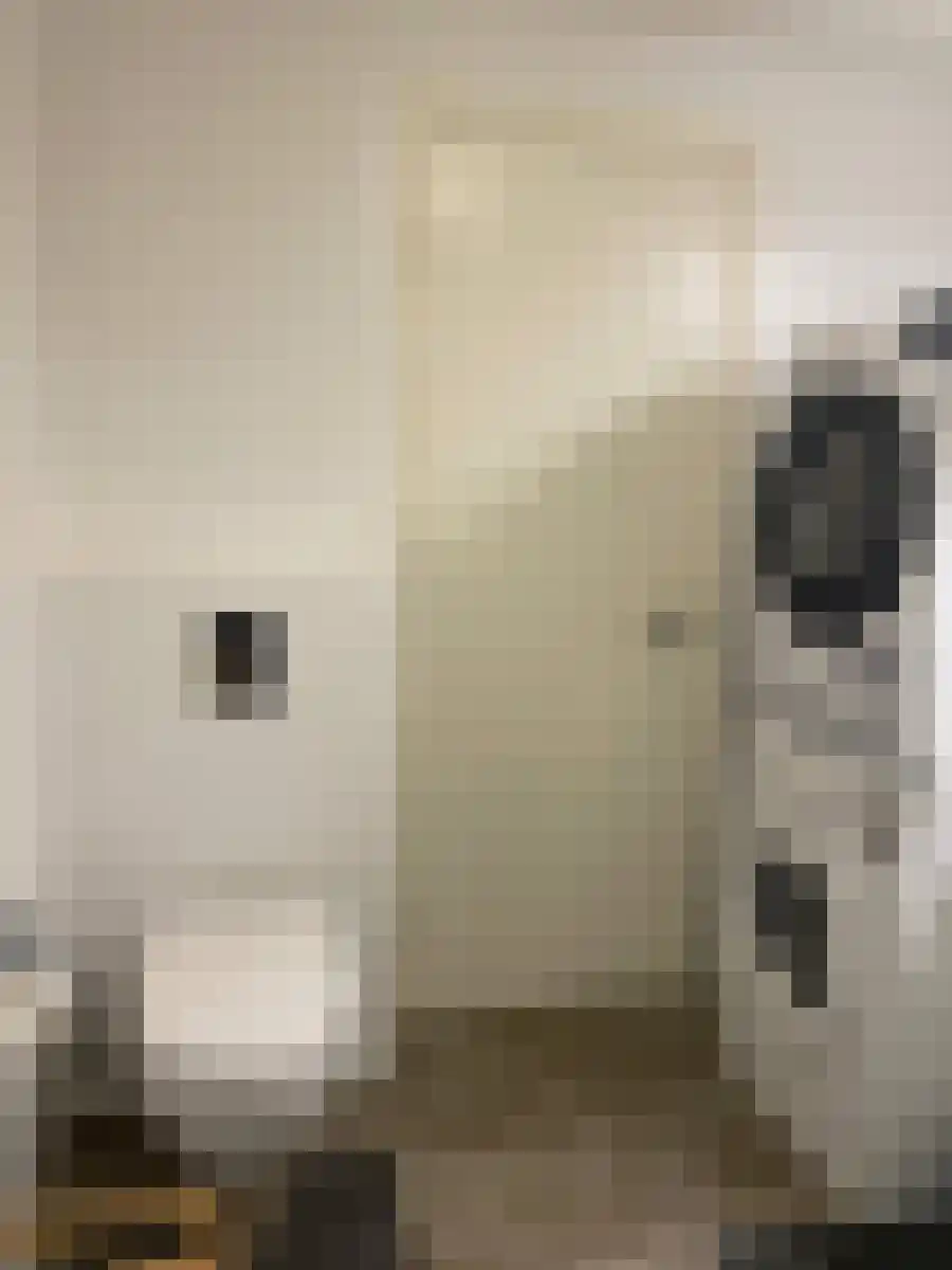 Abdijlaan 12 Uden thumbnail 5