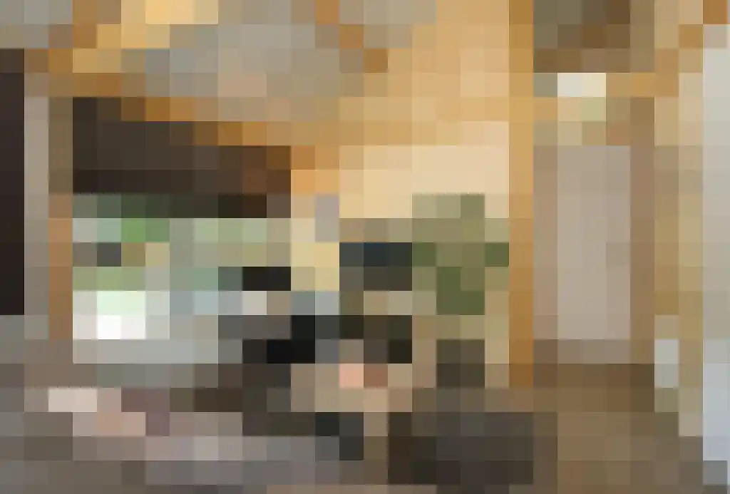 Abdijlaan 12 Uden thumbnail 6