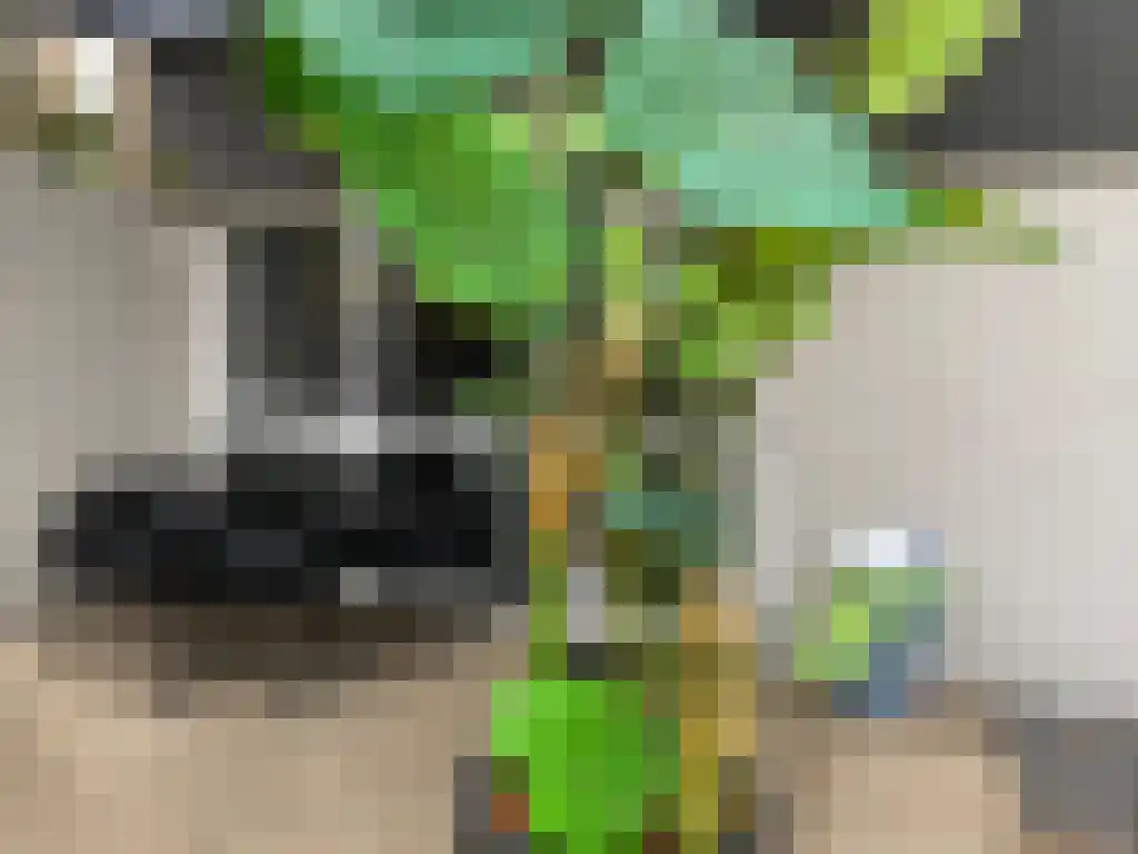Abdijlaan 12 Uden thumbnail 6