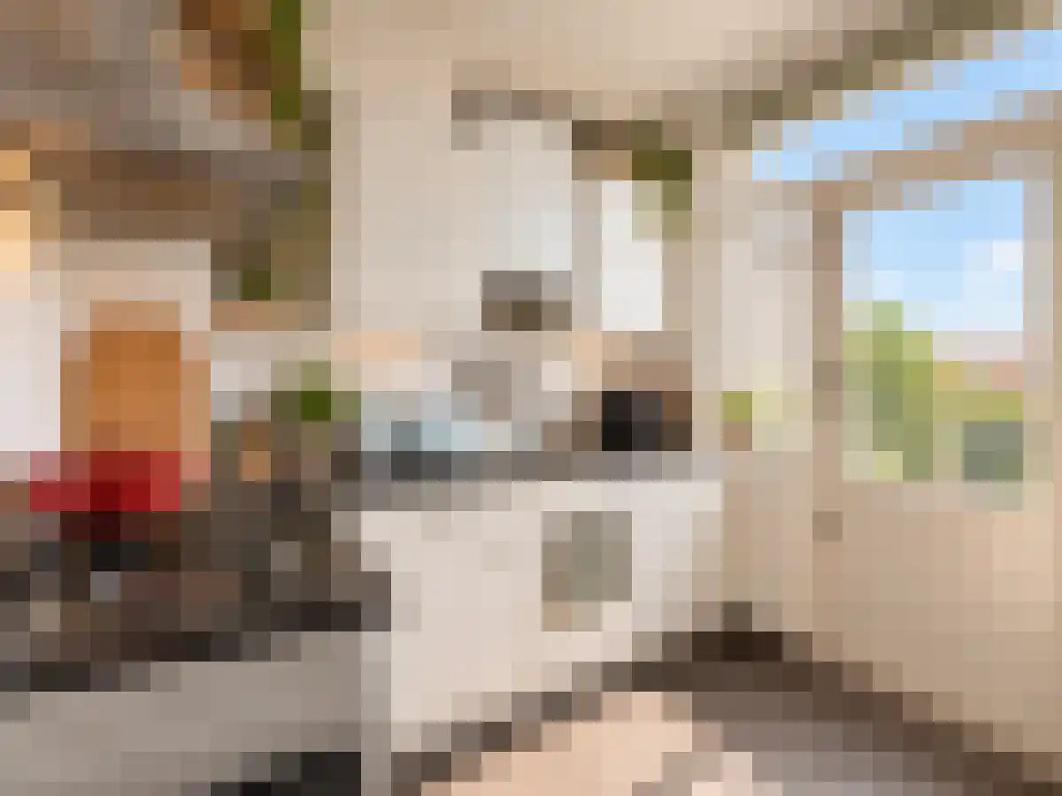 Abdijlaan 122 D Uden thumbnail 4