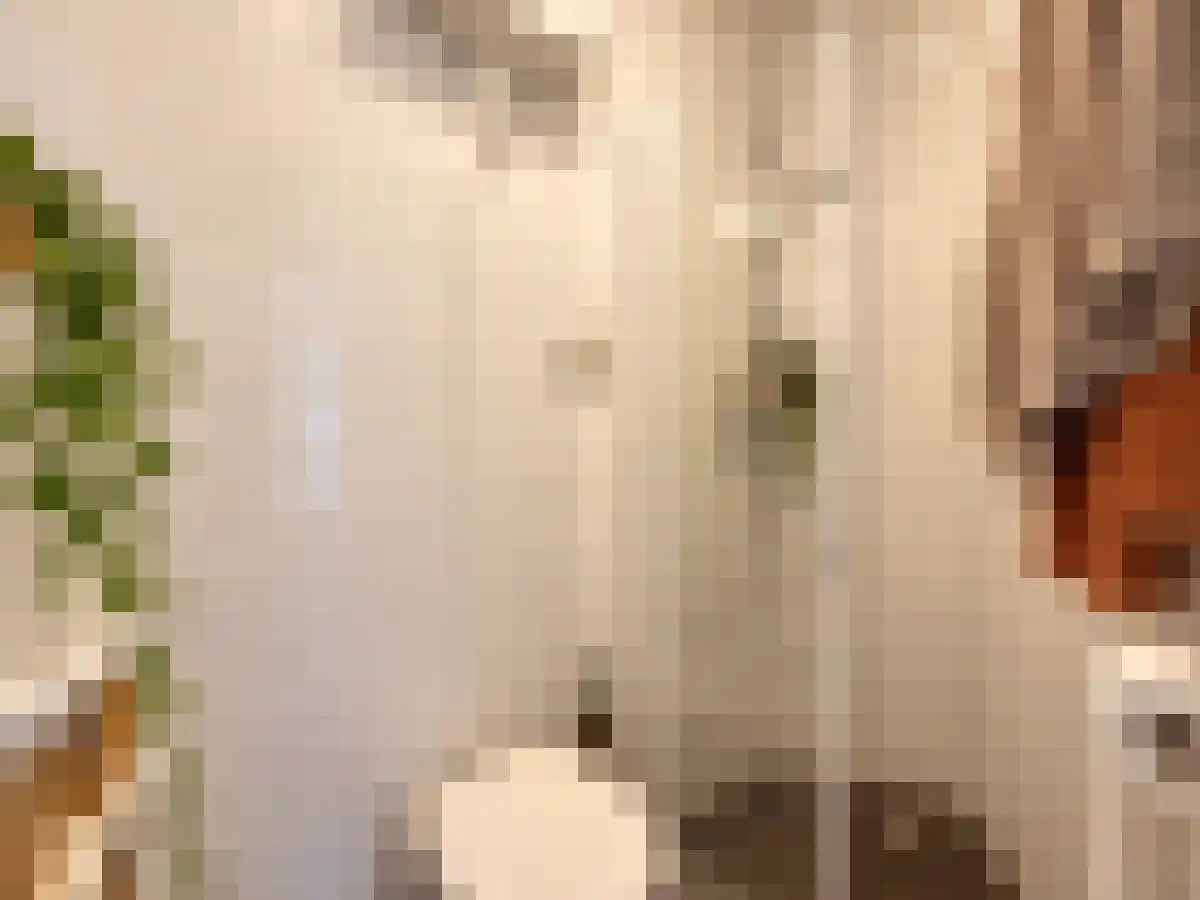 Abdijlaan 122 D Uden thumbnail 6