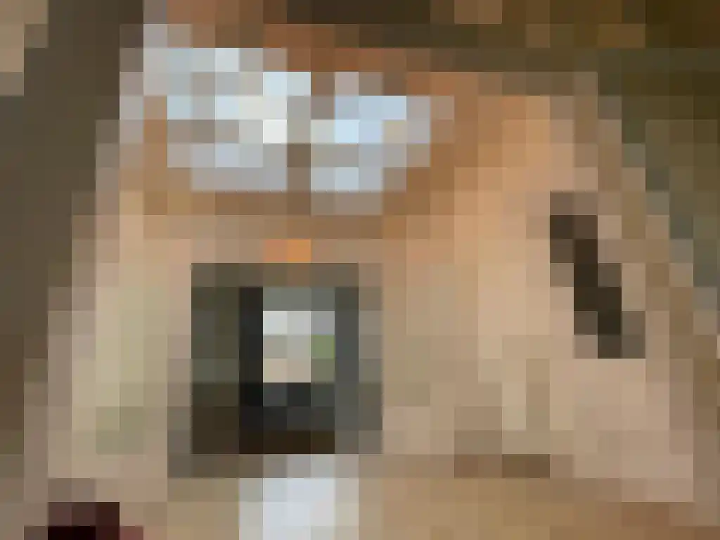 Abdijlaan 122 Uden thumbnail 5