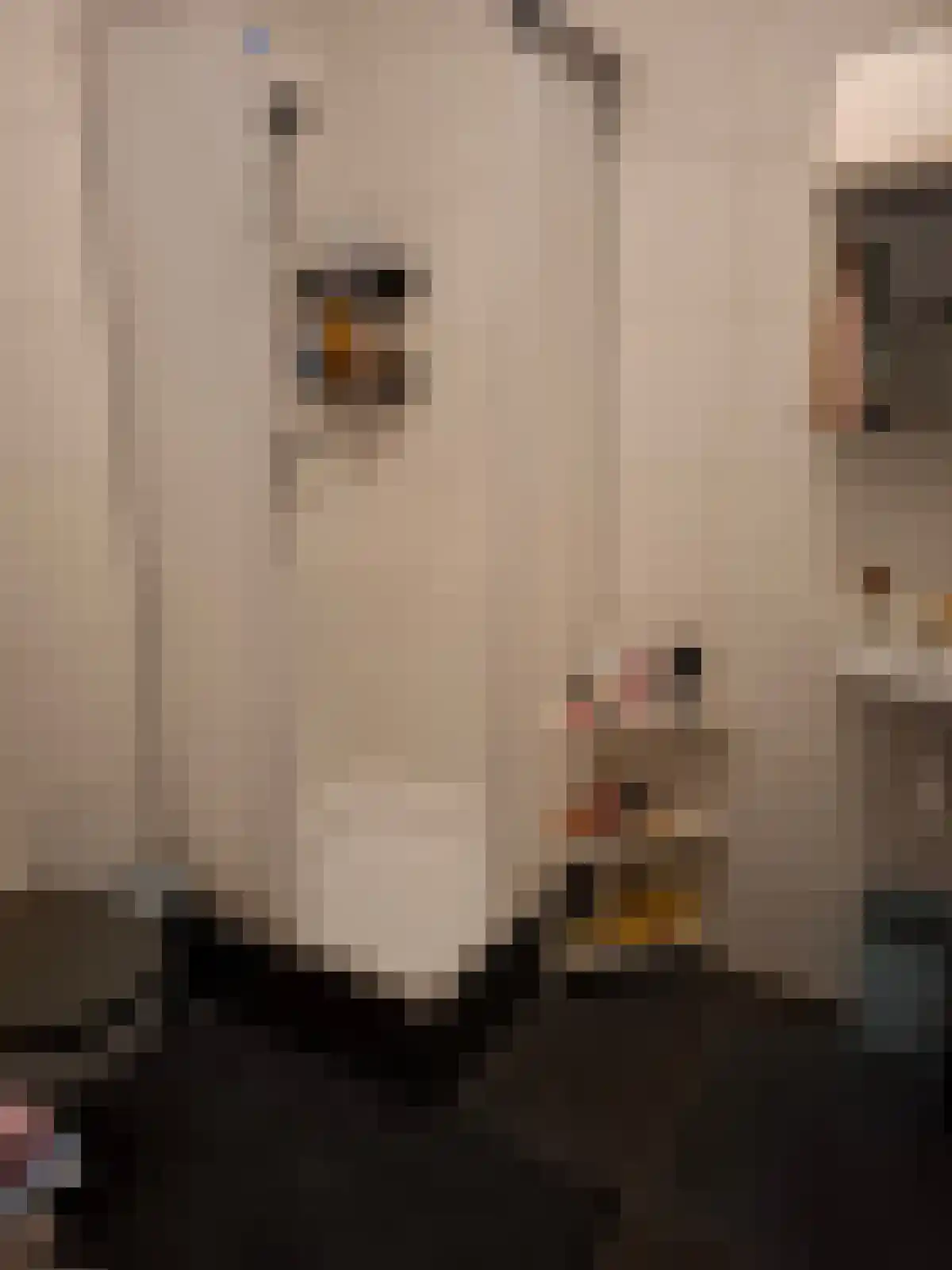 Abdijlaan 122 Uden thumbnail 6