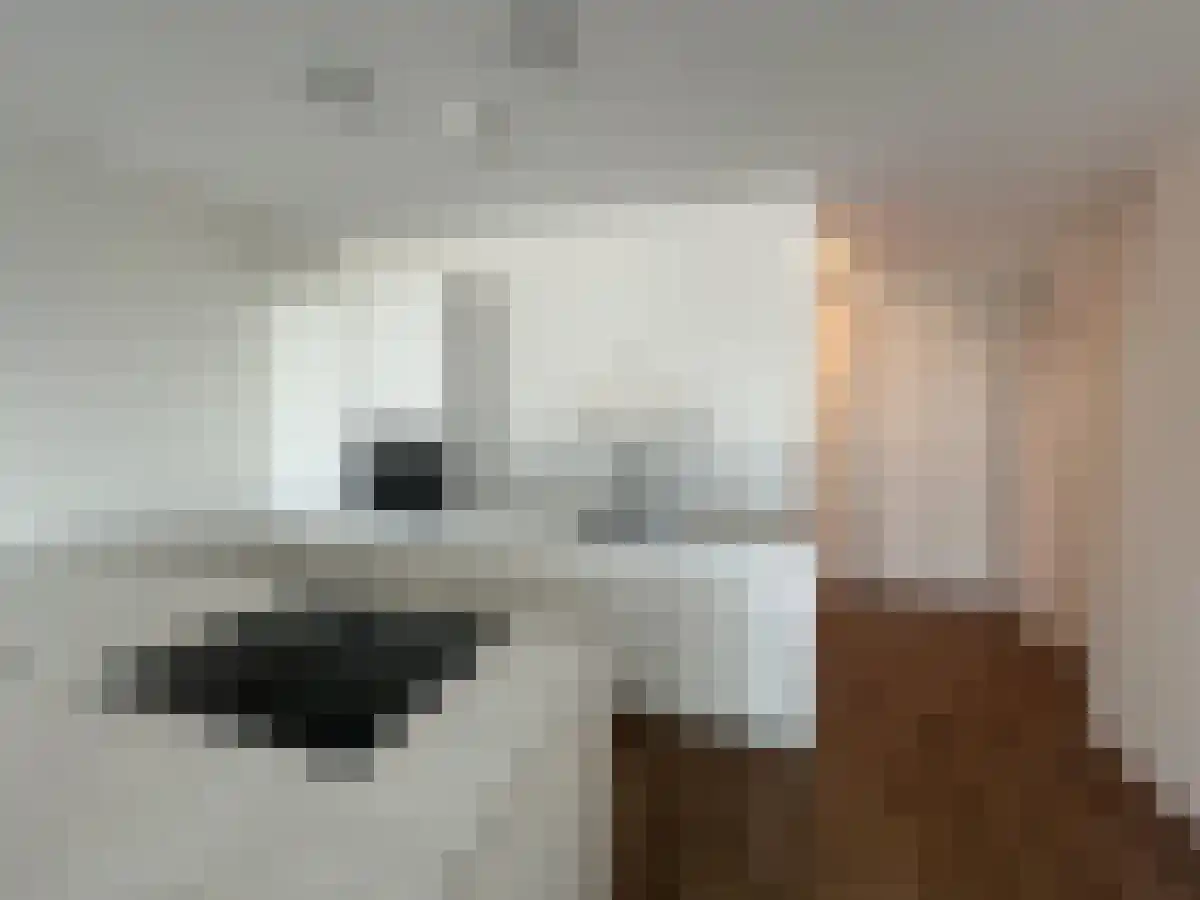 Abdijlaan 1259 Uden thumbnail 5