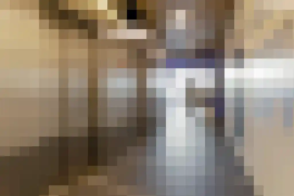 Abdijlaan 127 Uden thumbnail 6