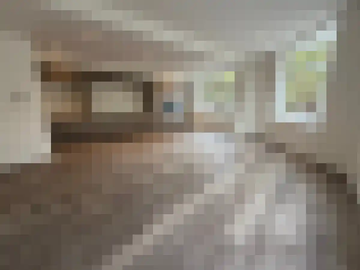 Abdijlaan 129 Uden thumbnail 5