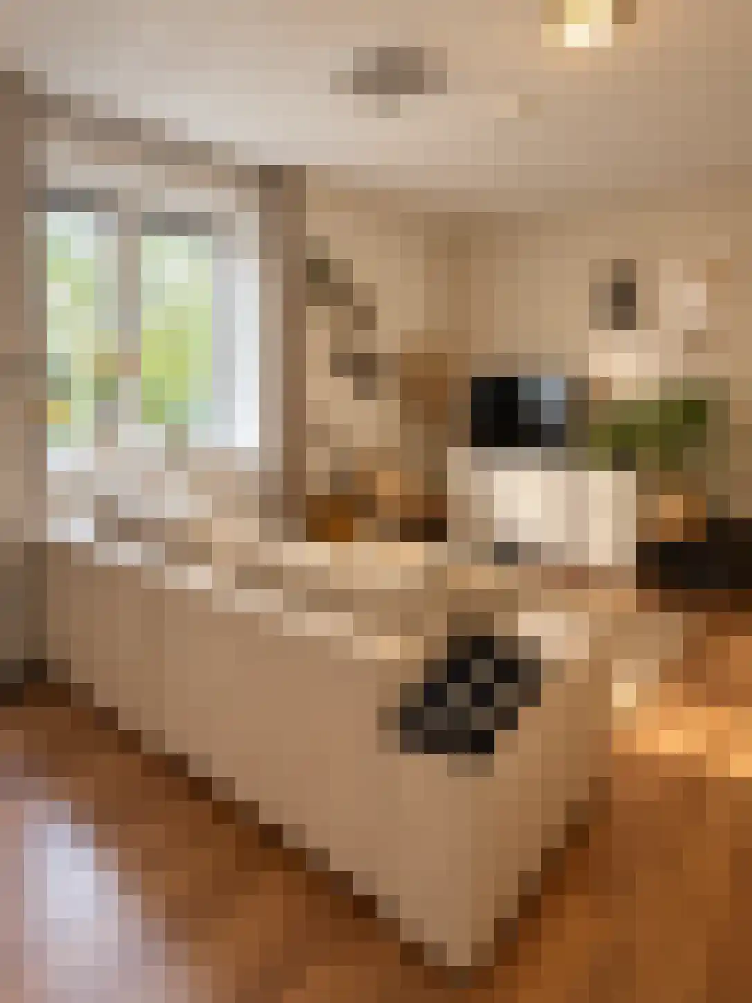 Abdijlaan 13 14 Uden thumbnail 4