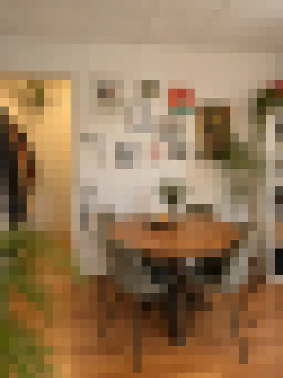 Abdijlaan 13 14 Uden thumbnail 5