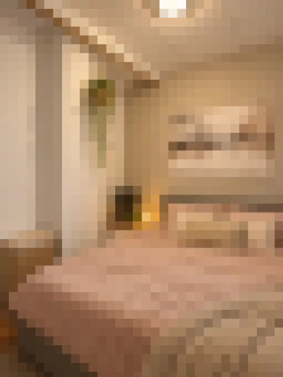 Abdijlaan 13 14 Uden thumbnail 6