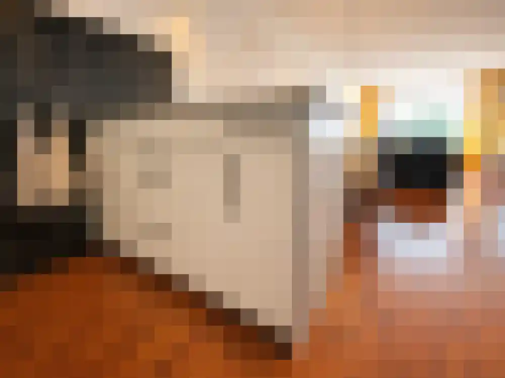 Abdijlaan 13 Uden thumbnail 12