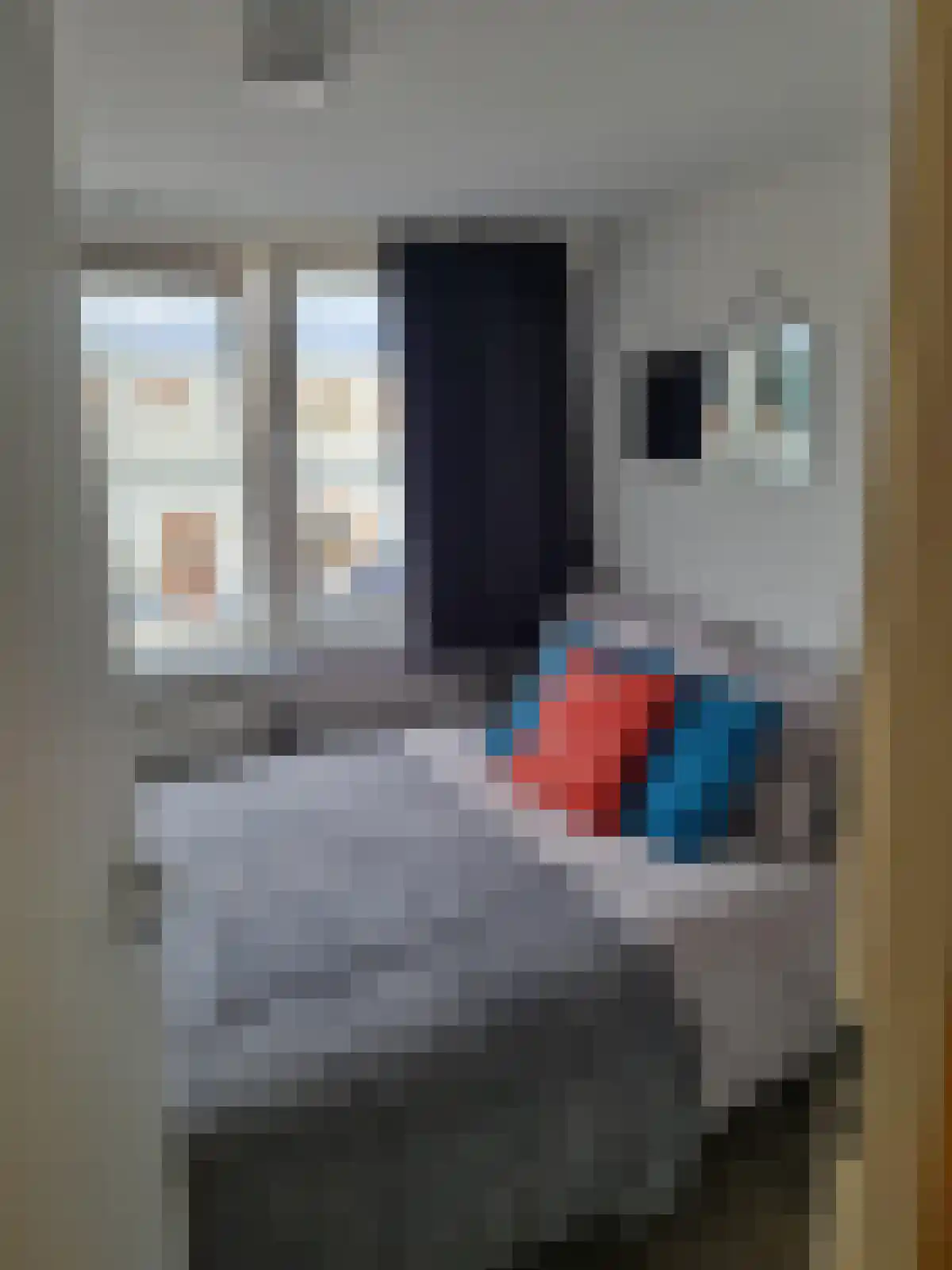 Abdijlaan 13 Uden foto 3
