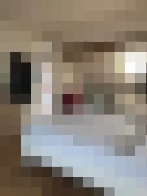 Abdijlaan 13 Uden thumbnail 5