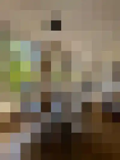 Abdijlaan 13 Uden thumbnail 56