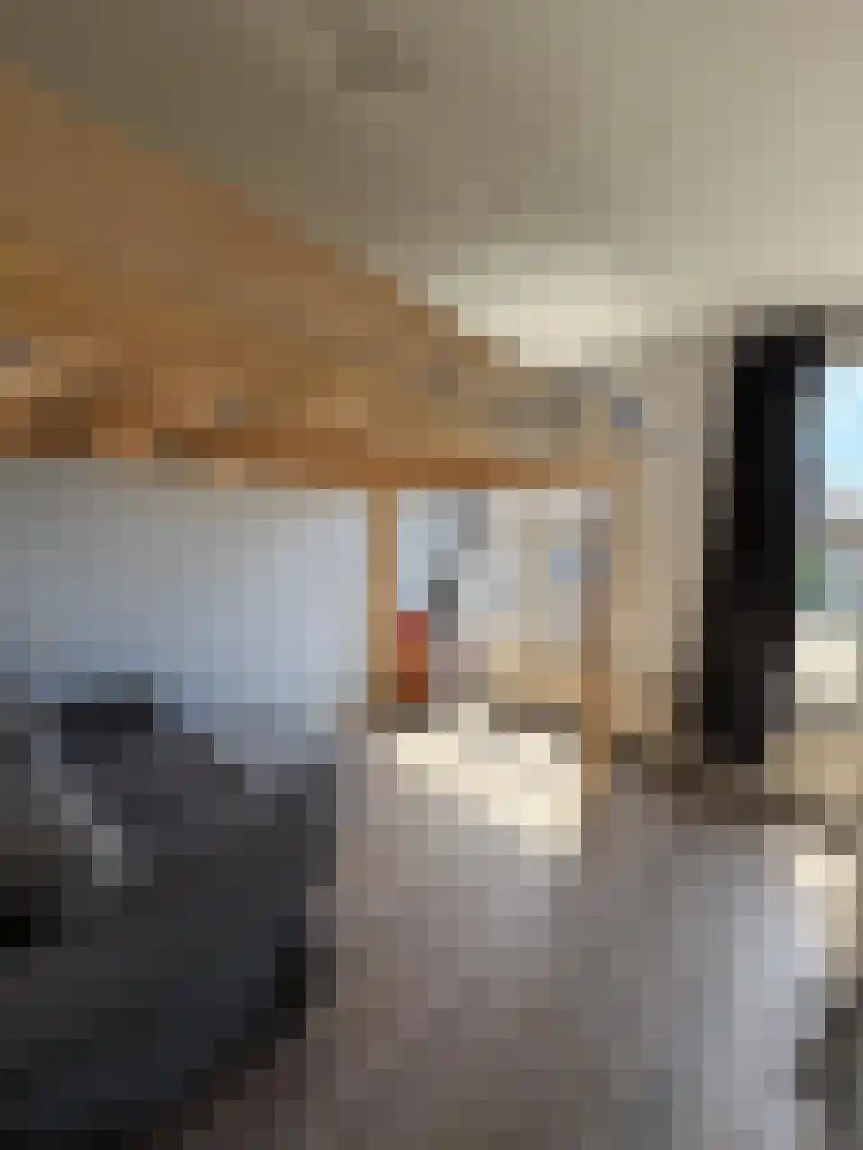 Abdijlaan 130 8 Uden thumbnail 4
