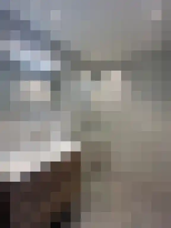 Abdijlaan 130 J Uden thumbnail 6