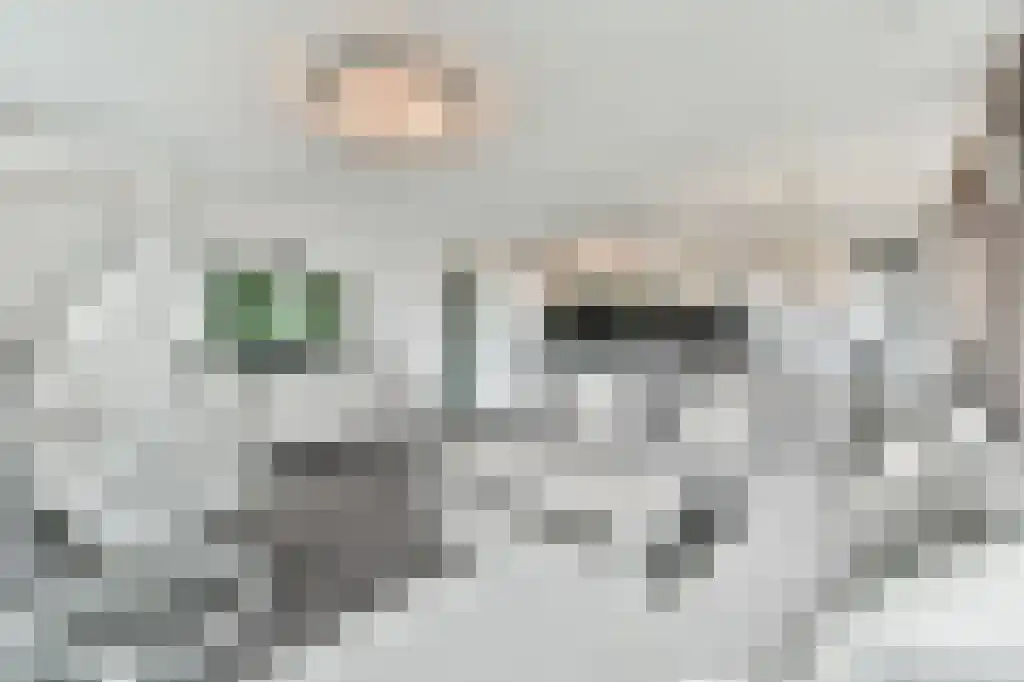 Abdijlaan 133 Uden thumbnail 4