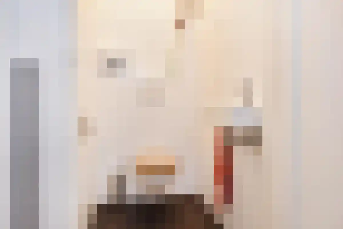 Abdijlaan 133 Uden thumbnail 5