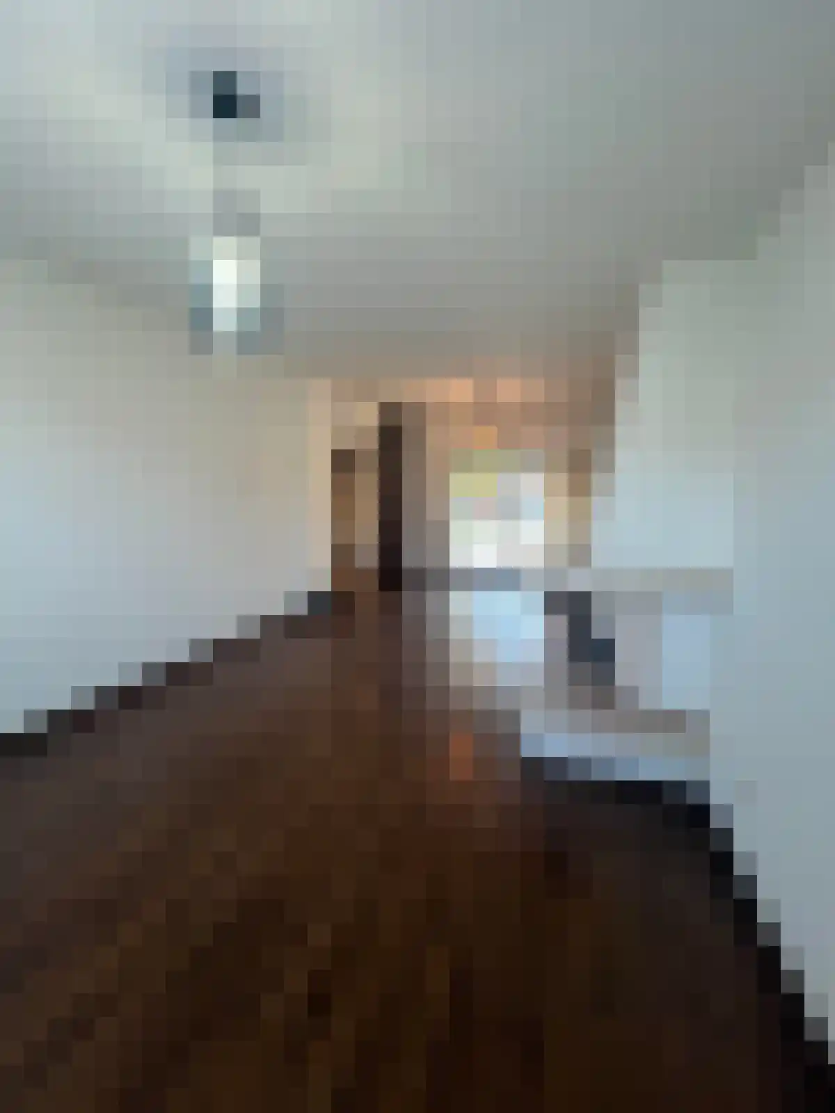 Abdijlaan 14 Uden thumbnail 4