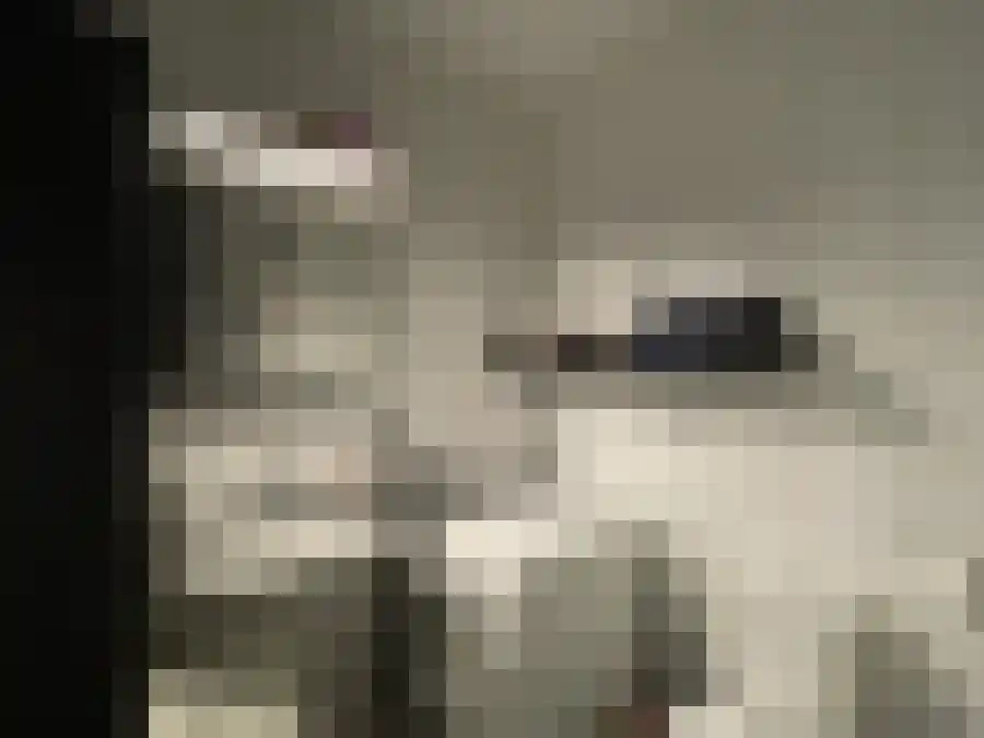 Abdijlaan 14 Uden thumbnail 6