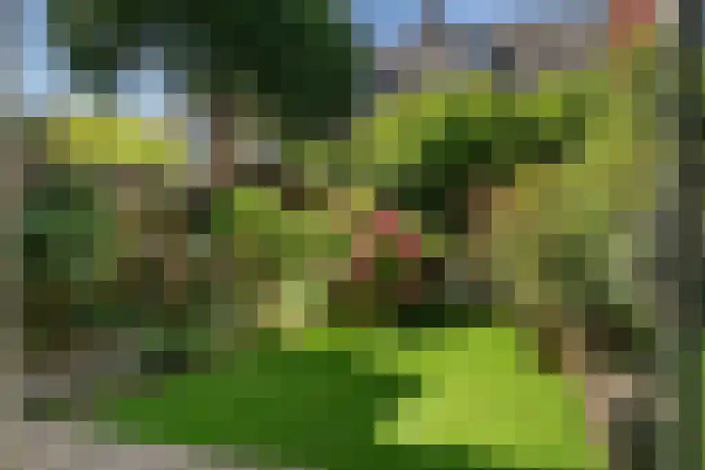 Abdijlaan 141 Uden foto 2