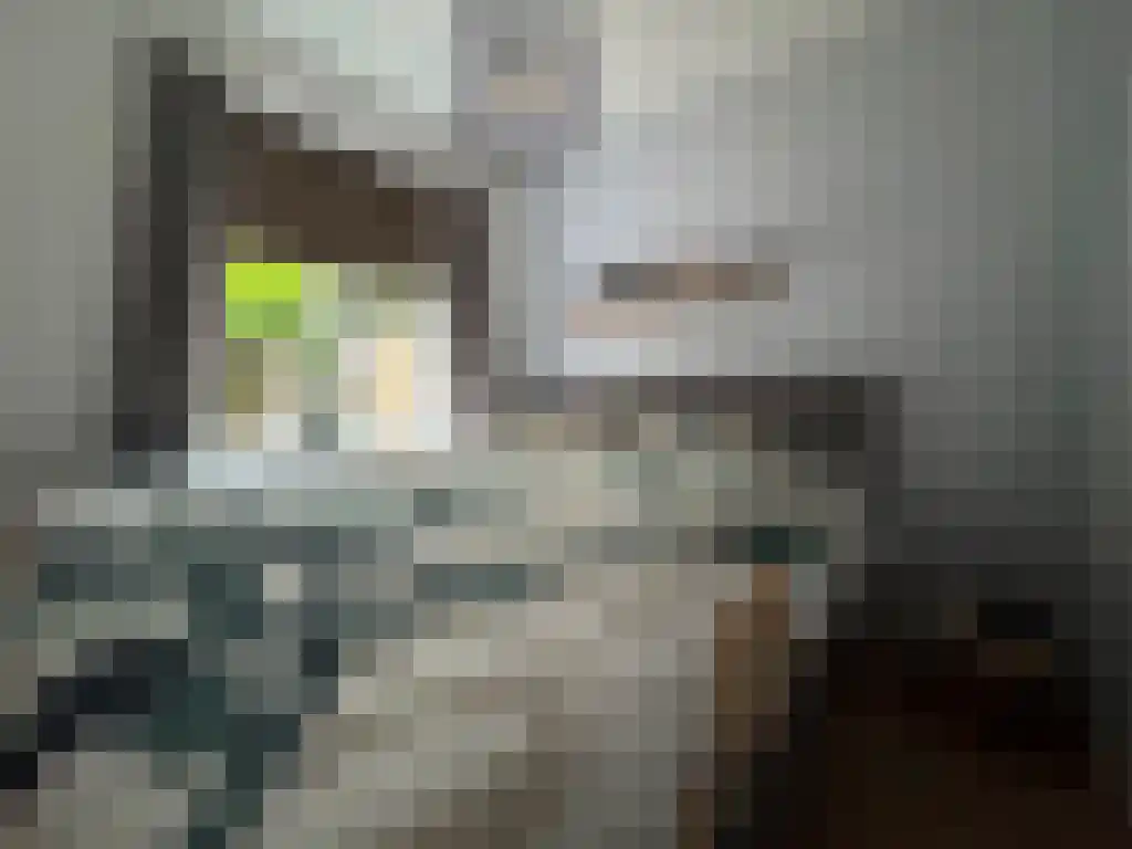 Abdijlaan 144 Uden thumbnail 4
