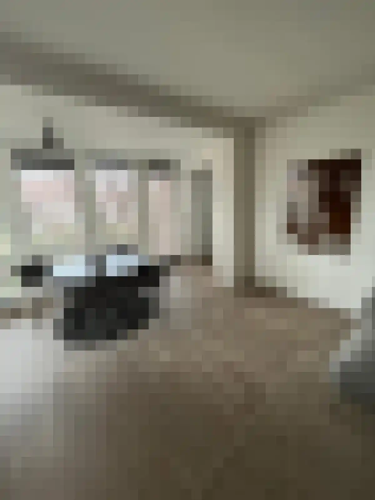 Abdijlaan 15 B Uden thumbnail 4
