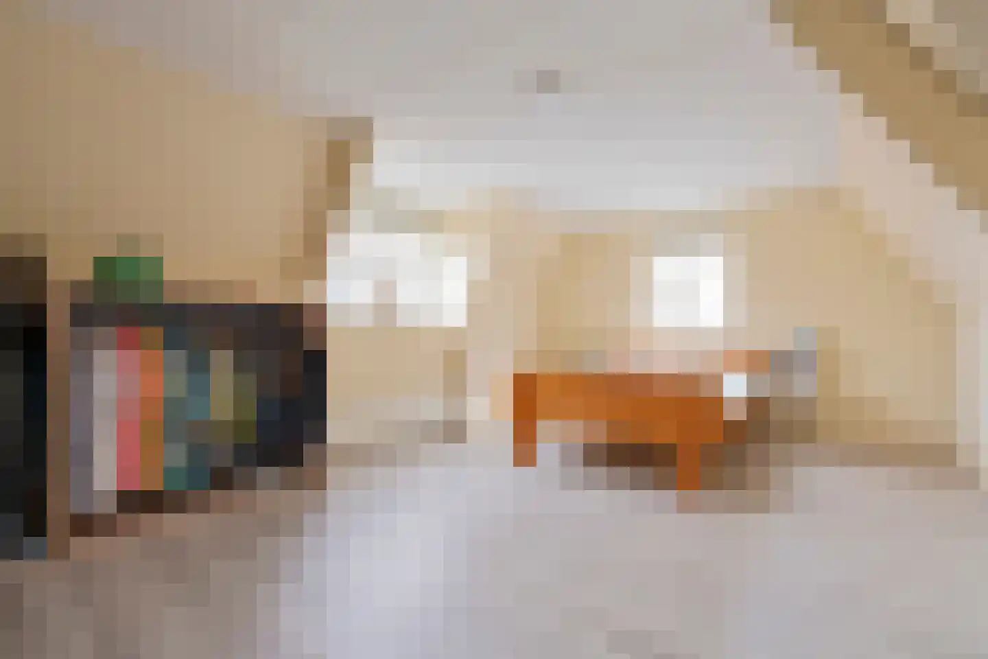 Abdijlaan 15 Egmond-Binnen thumbnail 25