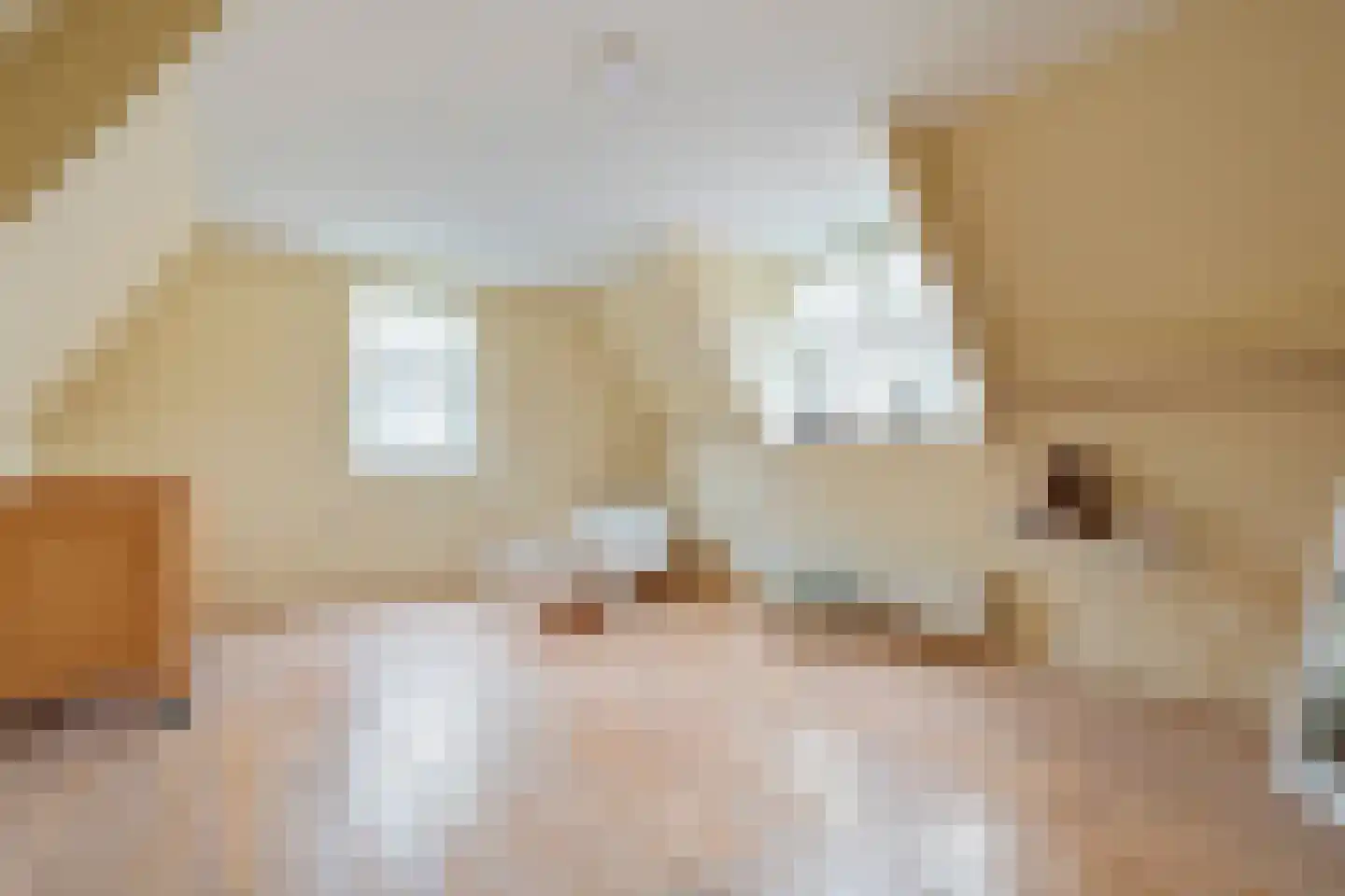 Abdijlaan 15 Egmond-Binnen thumbnail 28