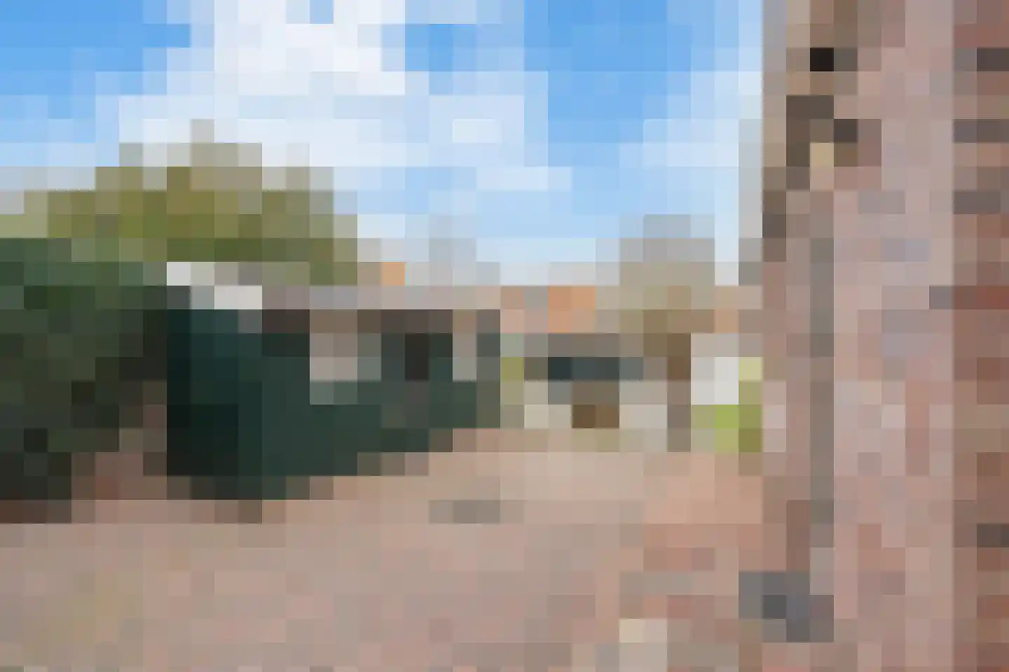Abdijlaan 15 Egmond-Binnen thumbnail 31
