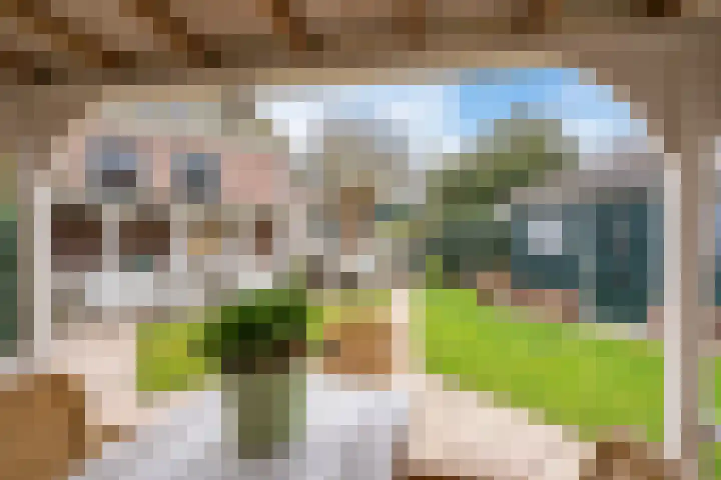 Abdijlaan 15 Egmond-Binnen thumbnail 33
