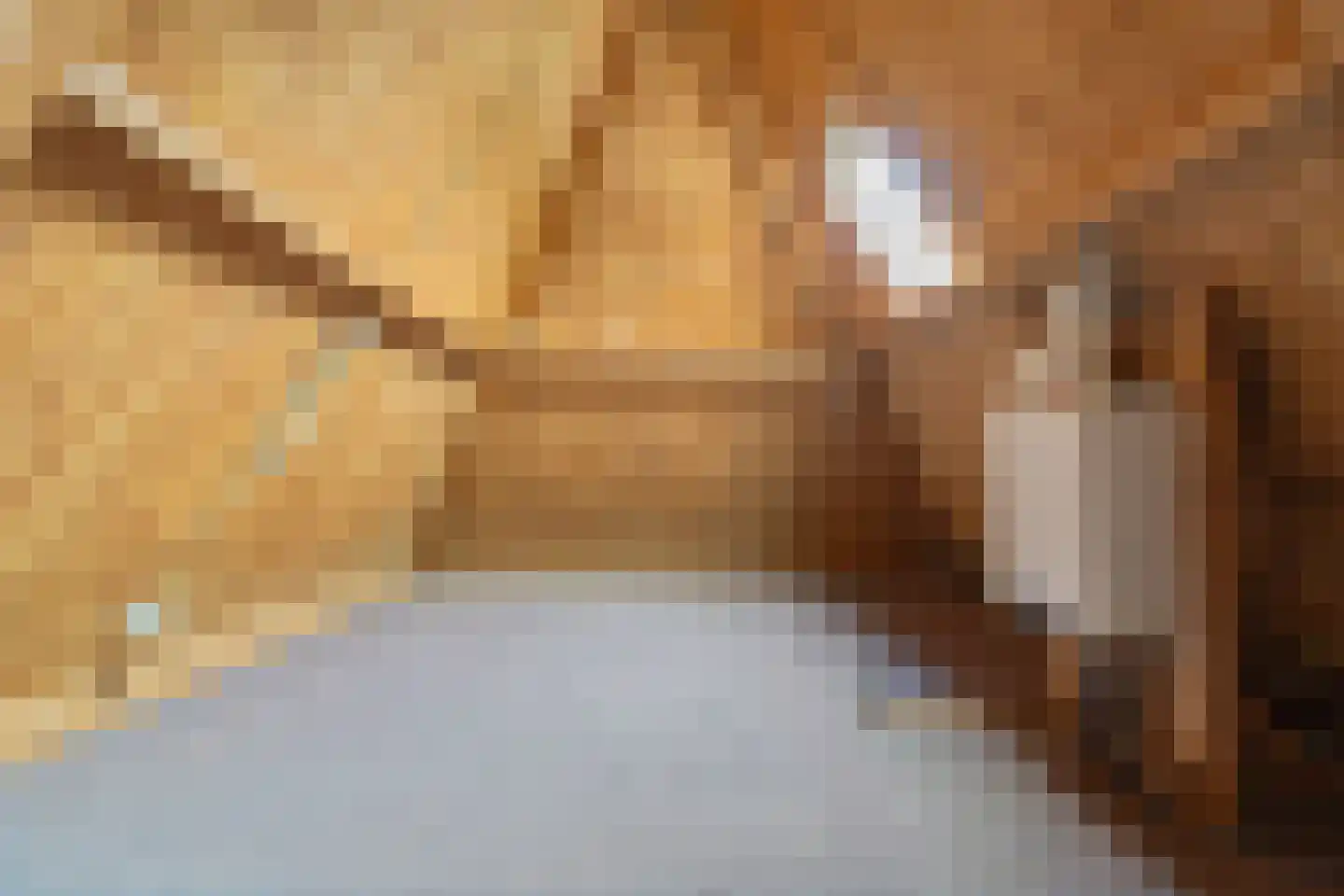 Abdijlaan 15 Egmond-Binnen thumbnail 44