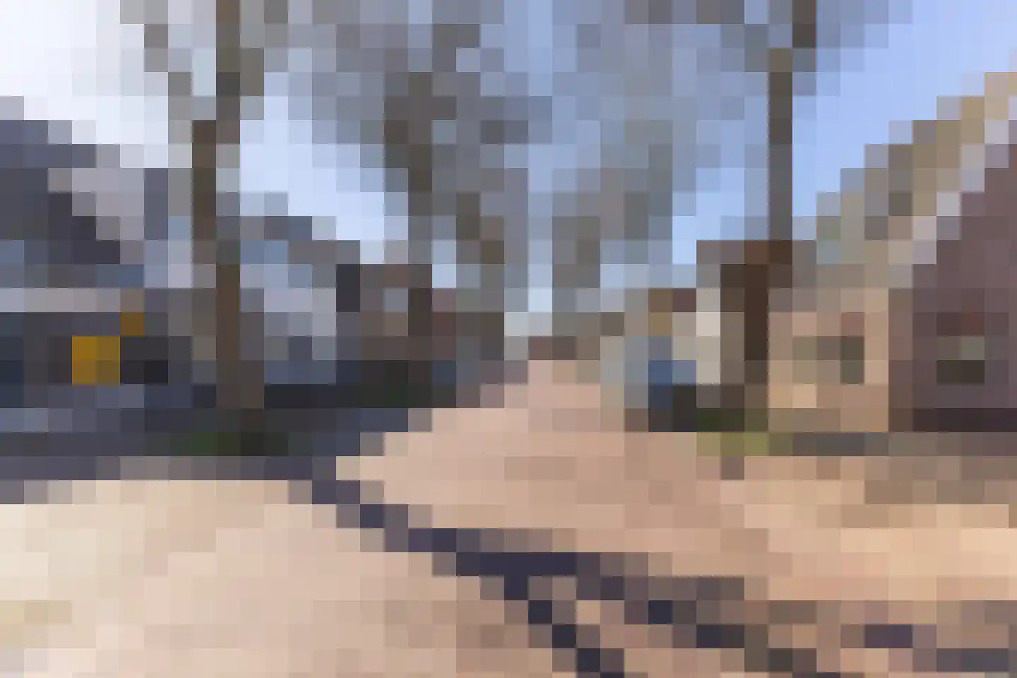 Abdijlaan 15 Egmond-Binnen thumbnail 51