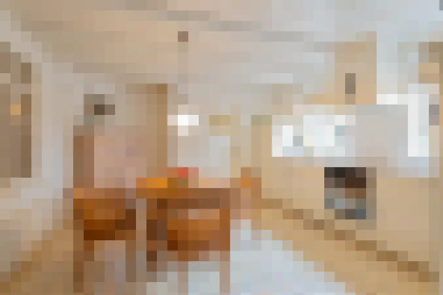 Abdijlaan 15 Egmond-Binnen thumbnail 8