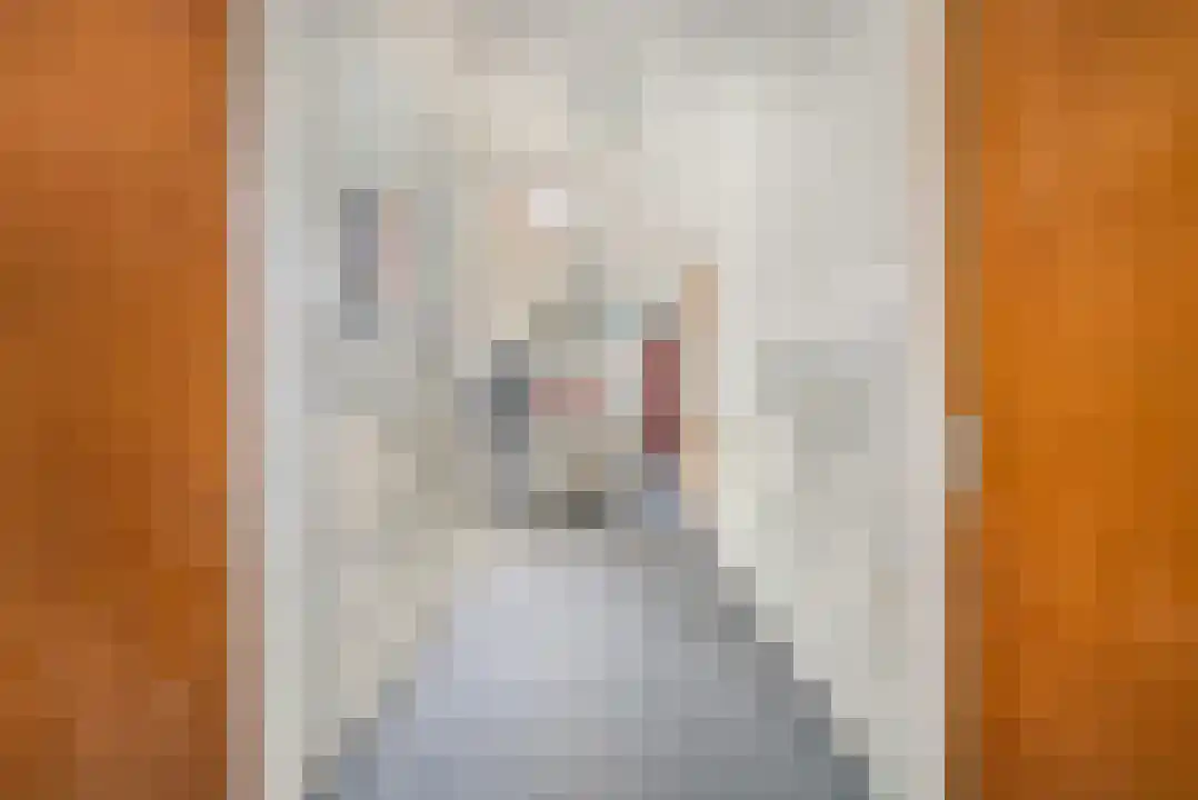 Abdijlaan 15 Uden foto 2
