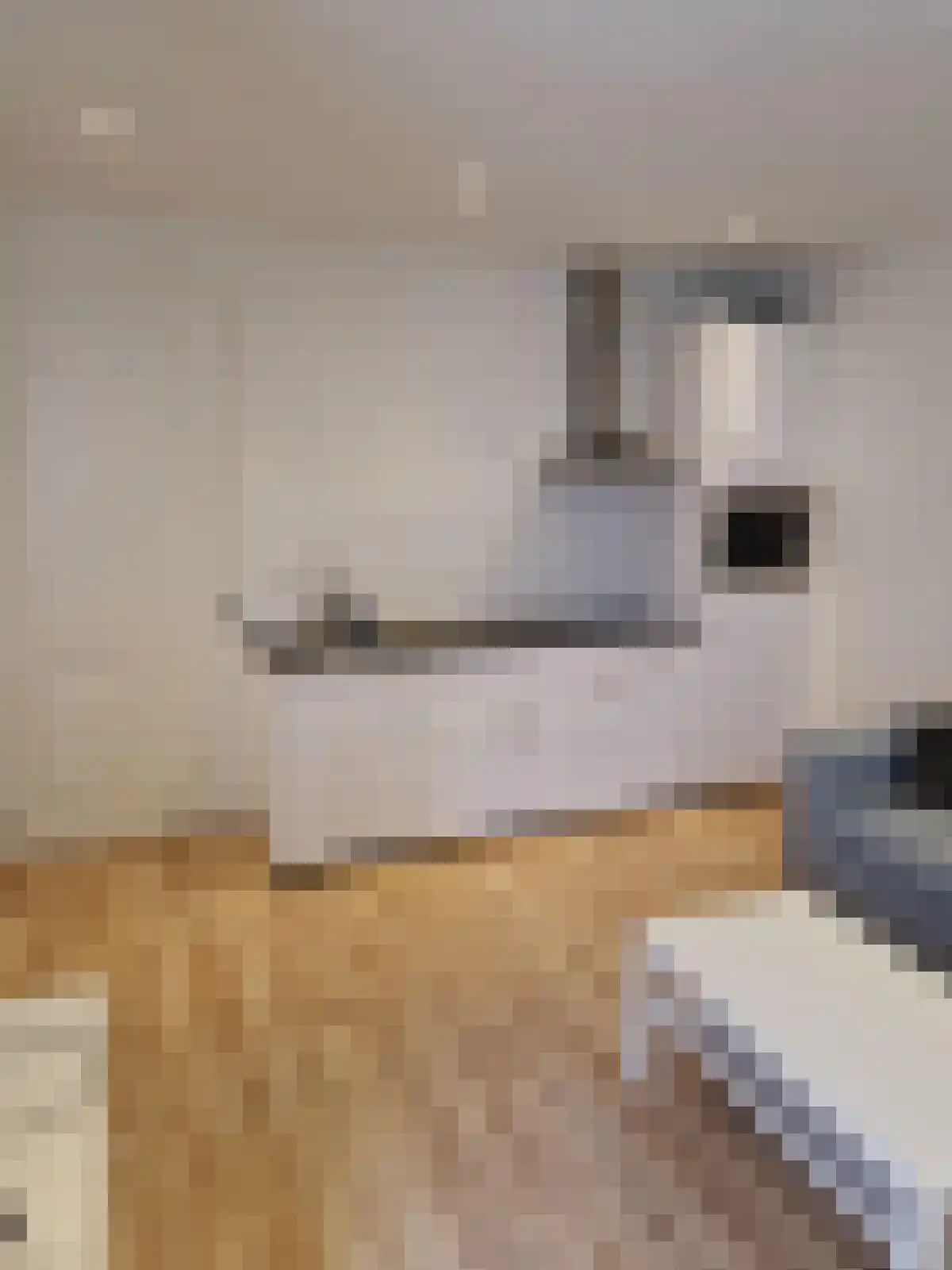 Abdijlaan 15 Uden thumbnail 4