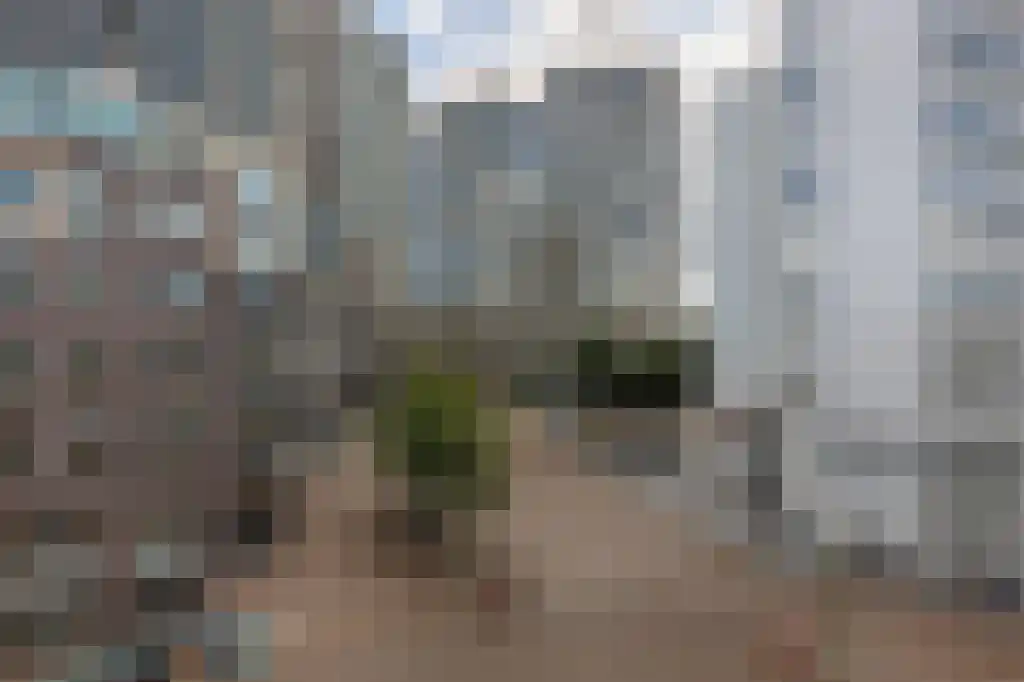Abdijlaan 150 Uden foto 3