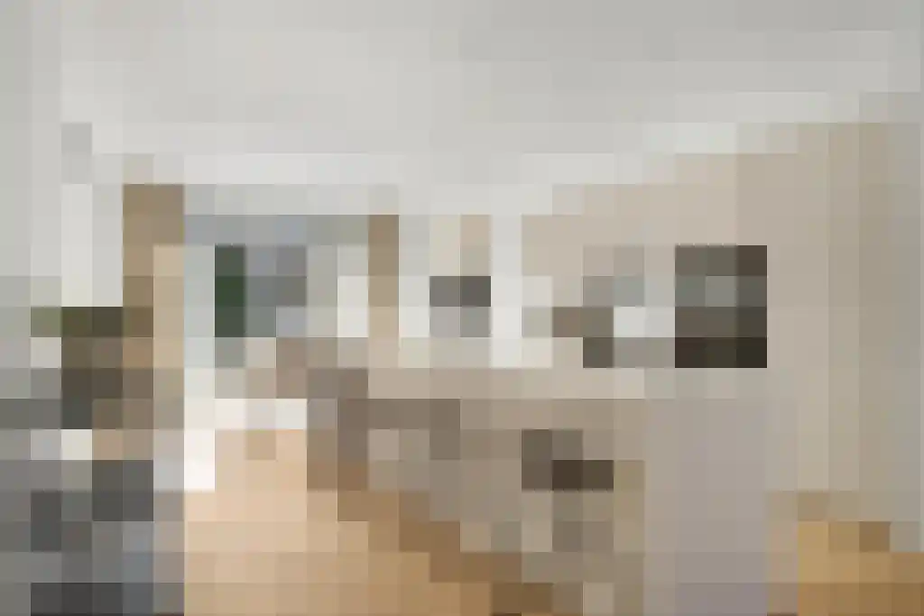 Abdijlaan 151 Uden thumbnail 4