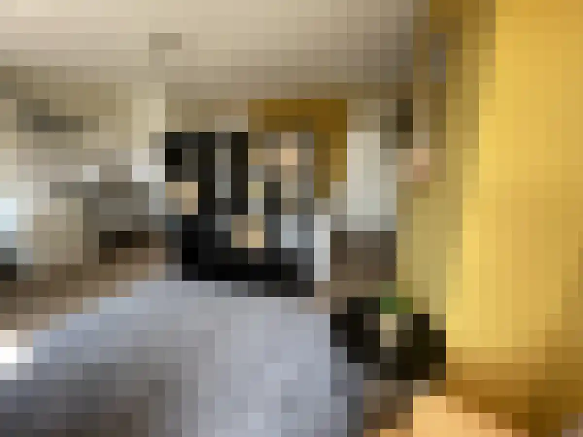 Abdijlaan 153 Uden thumbnail 4