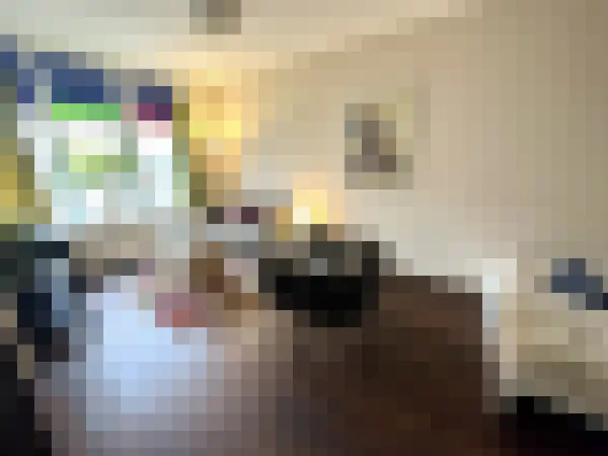 Abdijlaan 153 Uden thumbnail 5